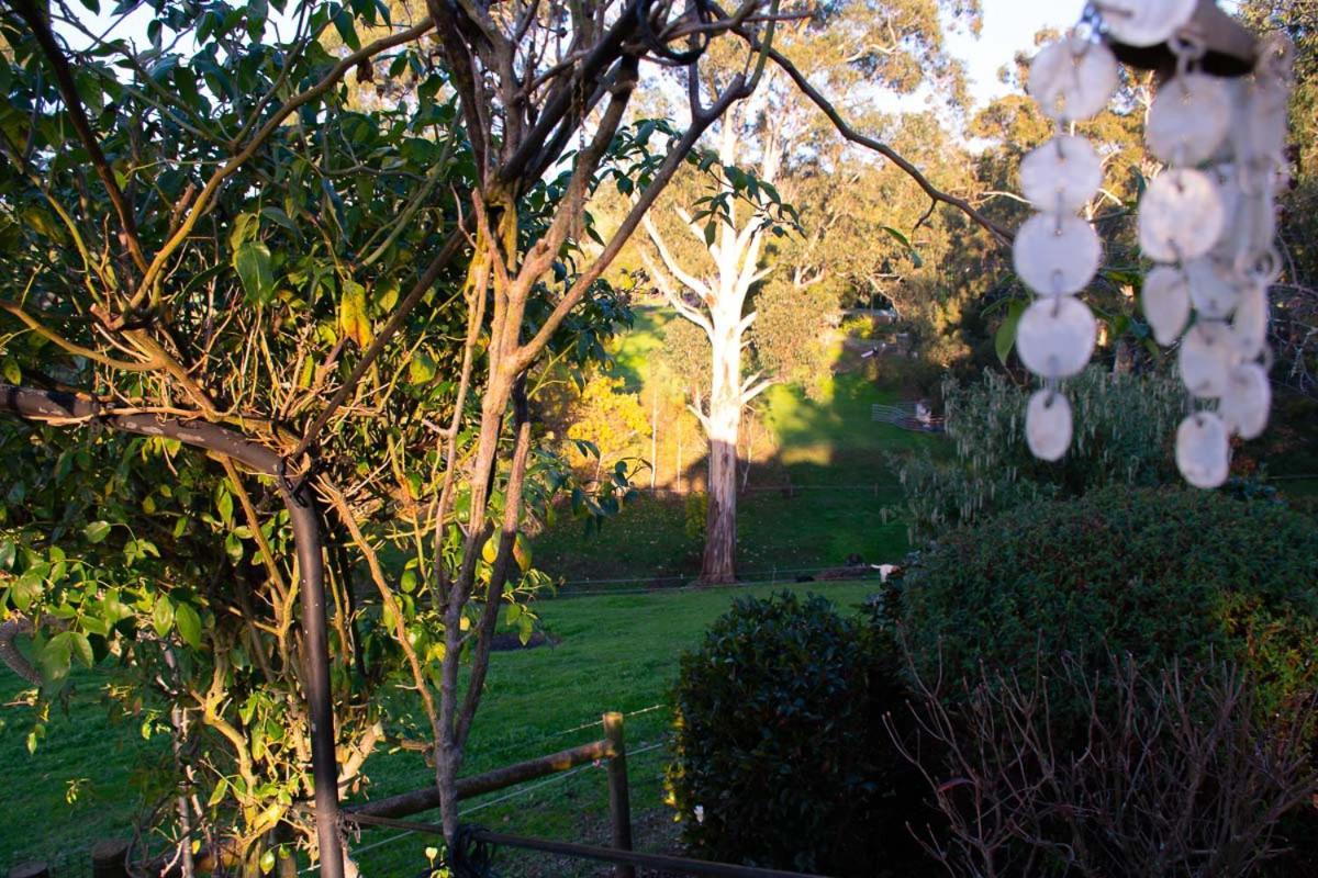 Rosewood Park Guest Suite Yarragon Esterno foto