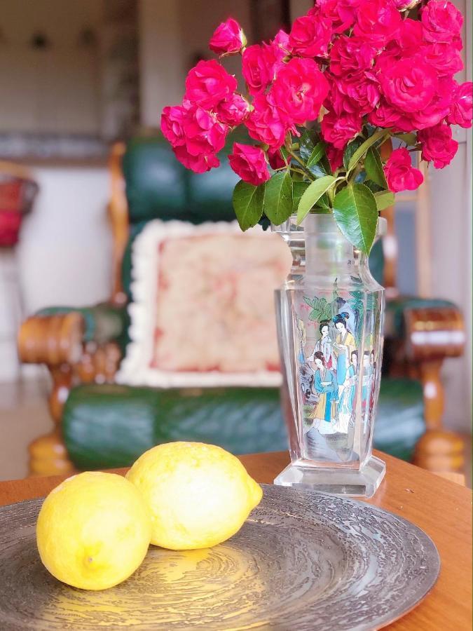 Rosewood Park Guest Suite Yarragon Esterno foto